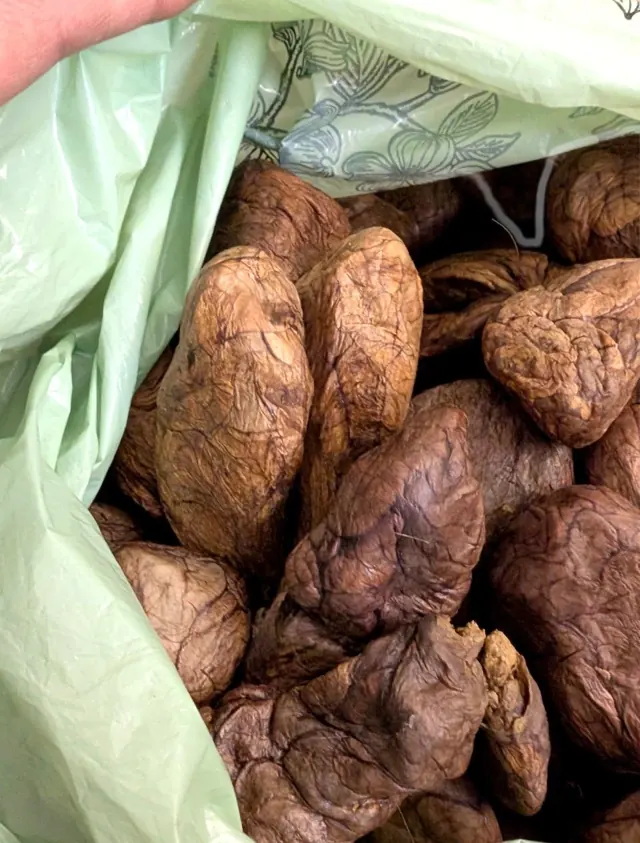 Dried castoreum pods packed in a lined bag inside an export carton